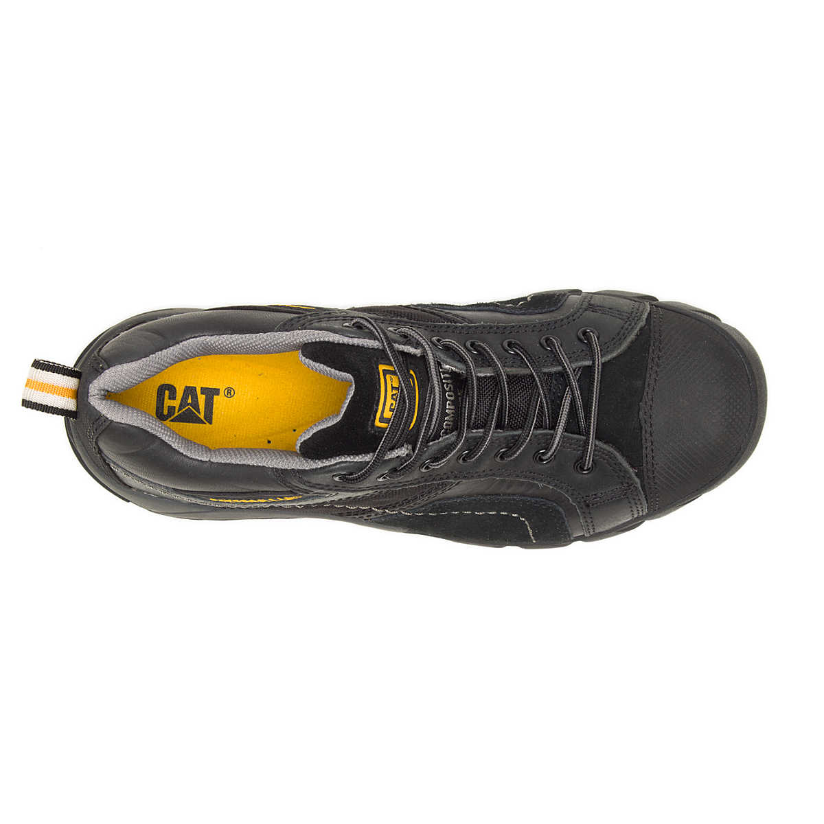 Cat Argon